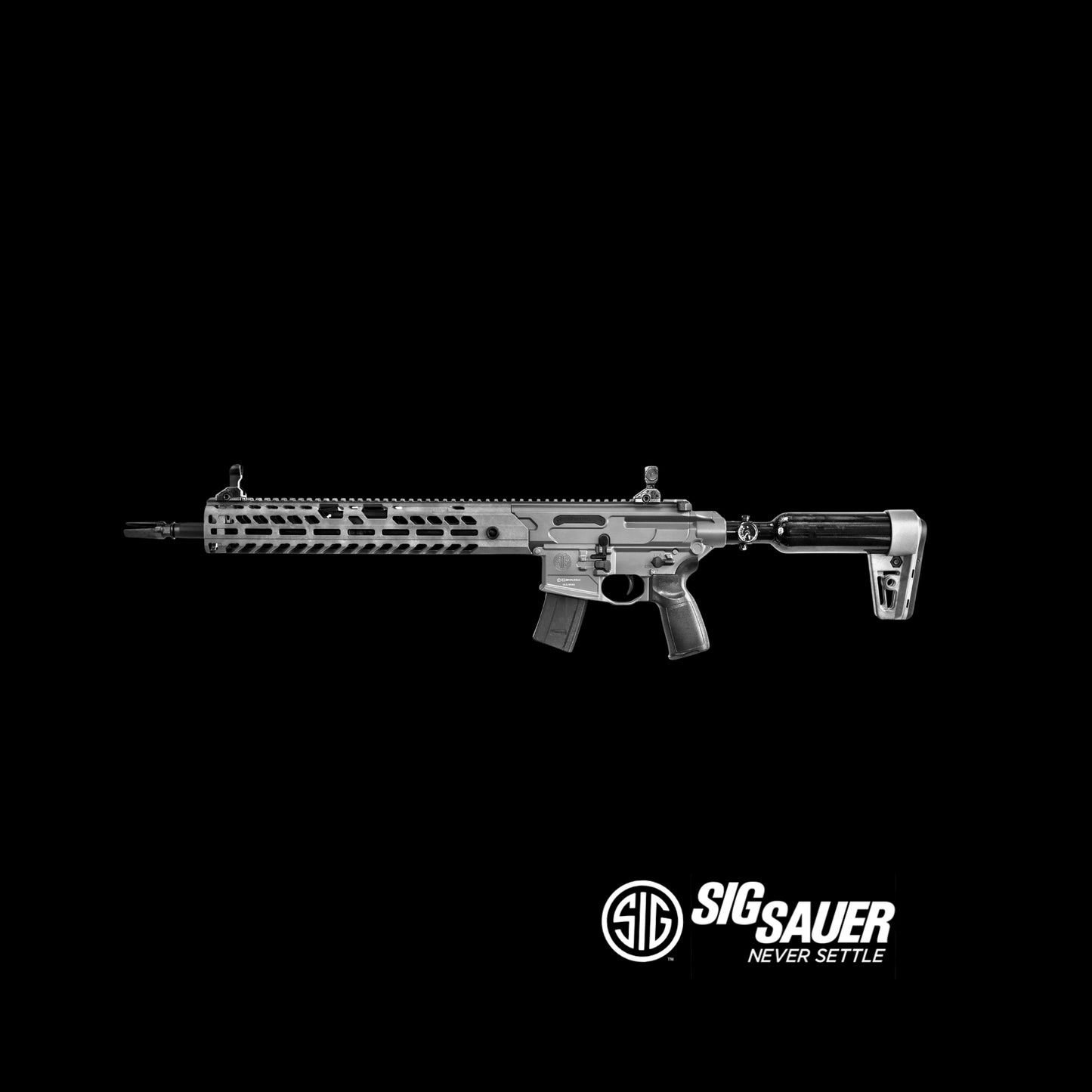 Sig Sauer, Virtus ASP, .22 Caliber Semi-automatic CO2 Air Rifle.