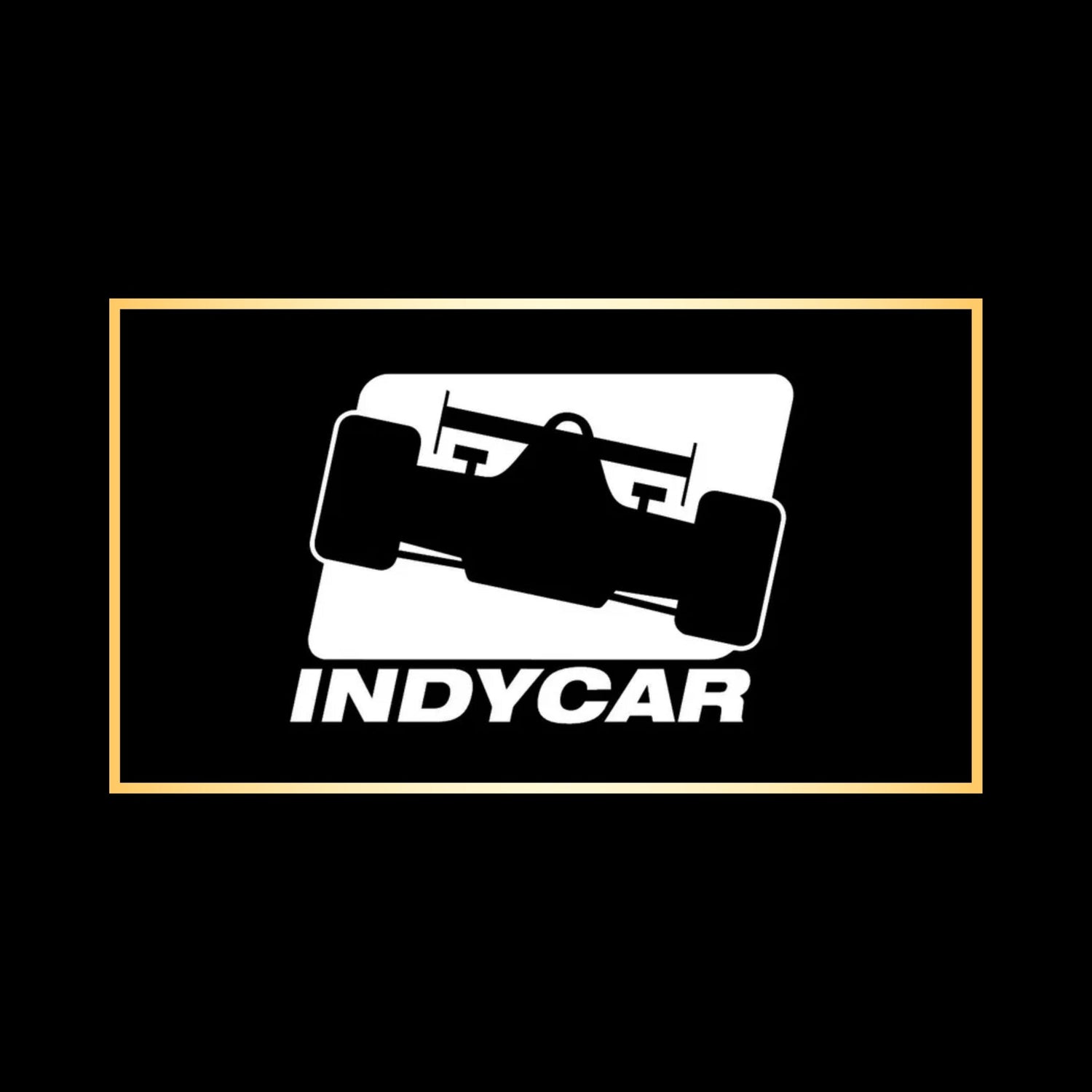 INDY CAR RACER