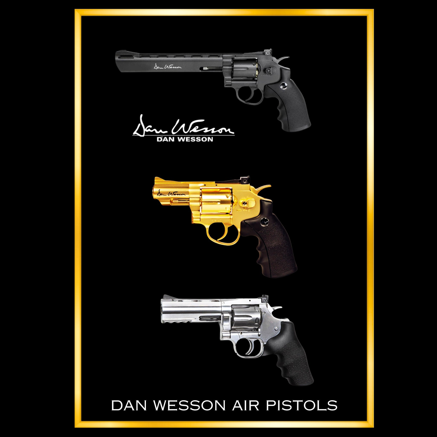 DAN WESSON